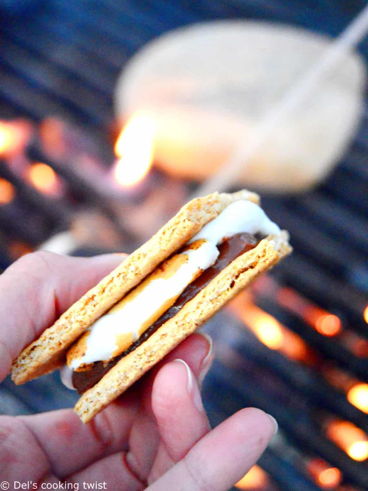 10 Delicious Recipes to Try When Cooking on an Open Fire - Indoor Outdoors