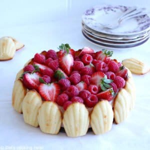 Madeleine Strawberry Charlotte Cake - Del's cooking twist