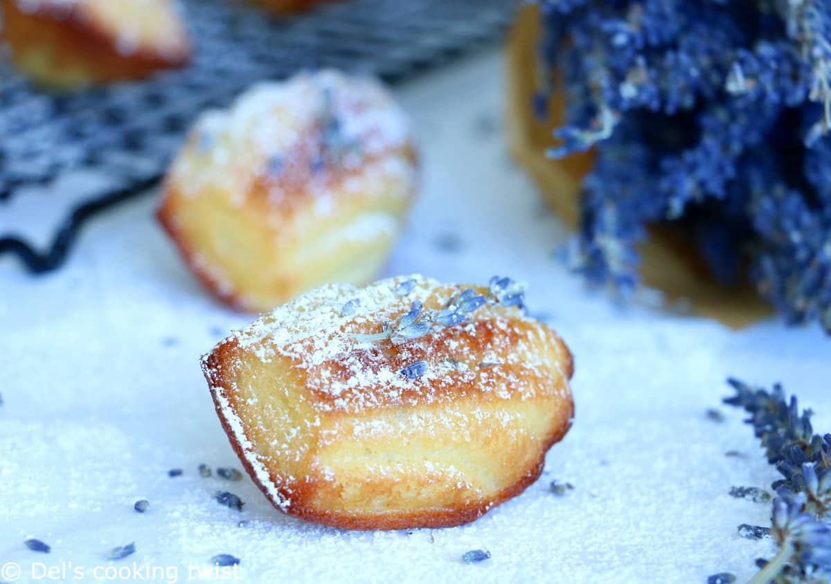 Lavender Honey Madeleines