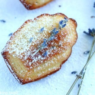 Lavender Honey Madeleines