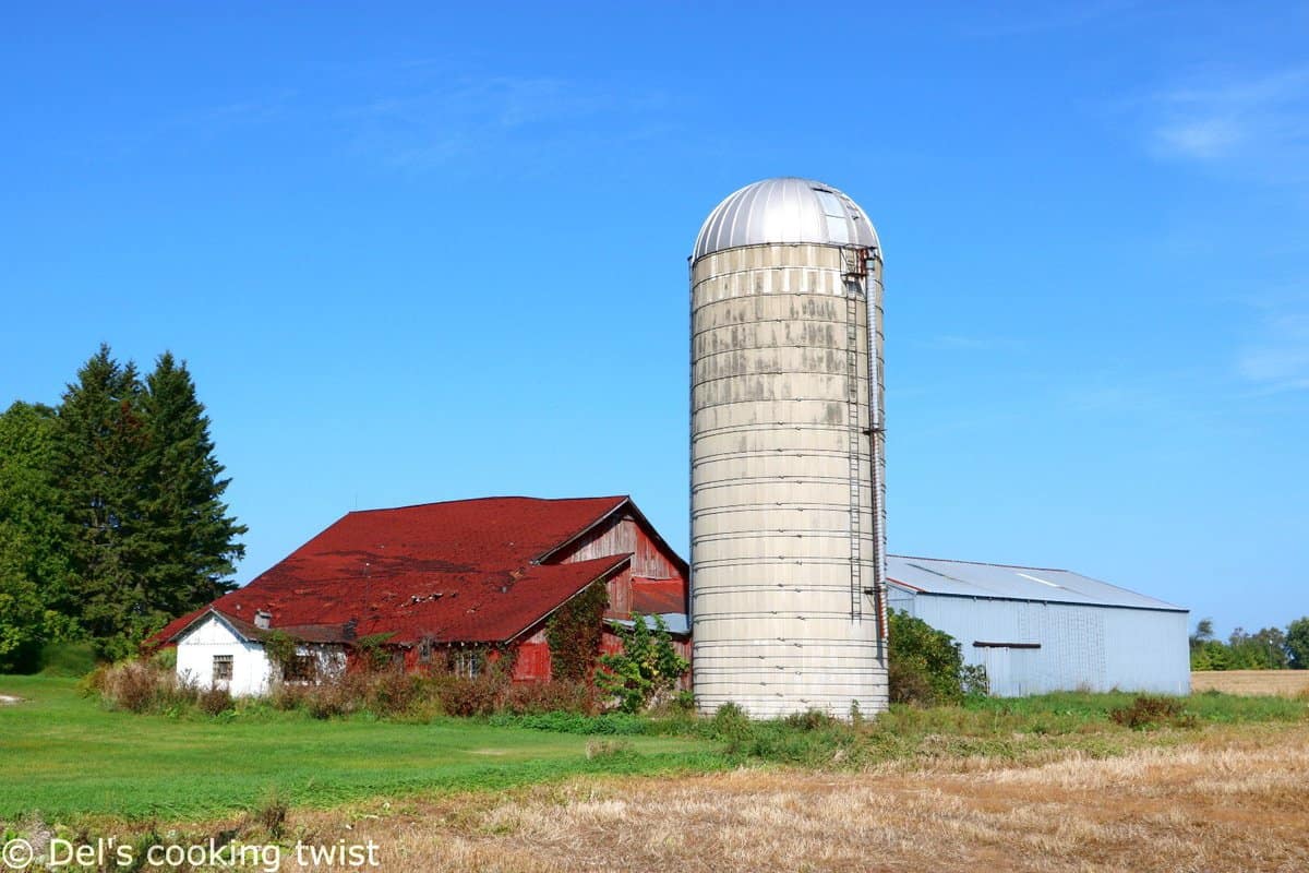 Barn Door County