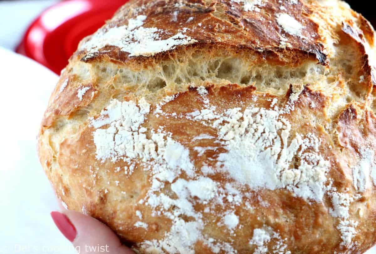 Quick No Knead Bread In Dutch Oven - Cooking LSL