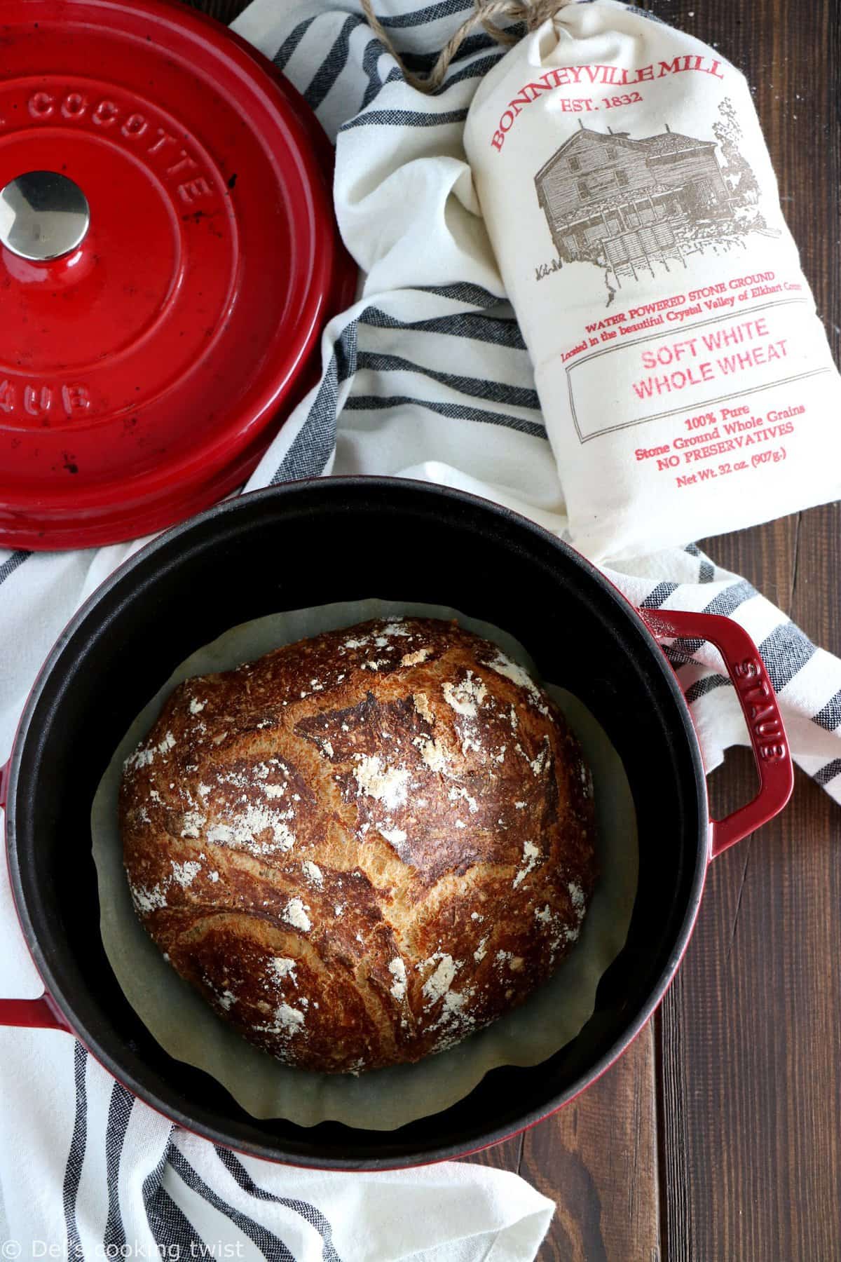 Instant Pot Whole Wheat Bread (No Knead!)