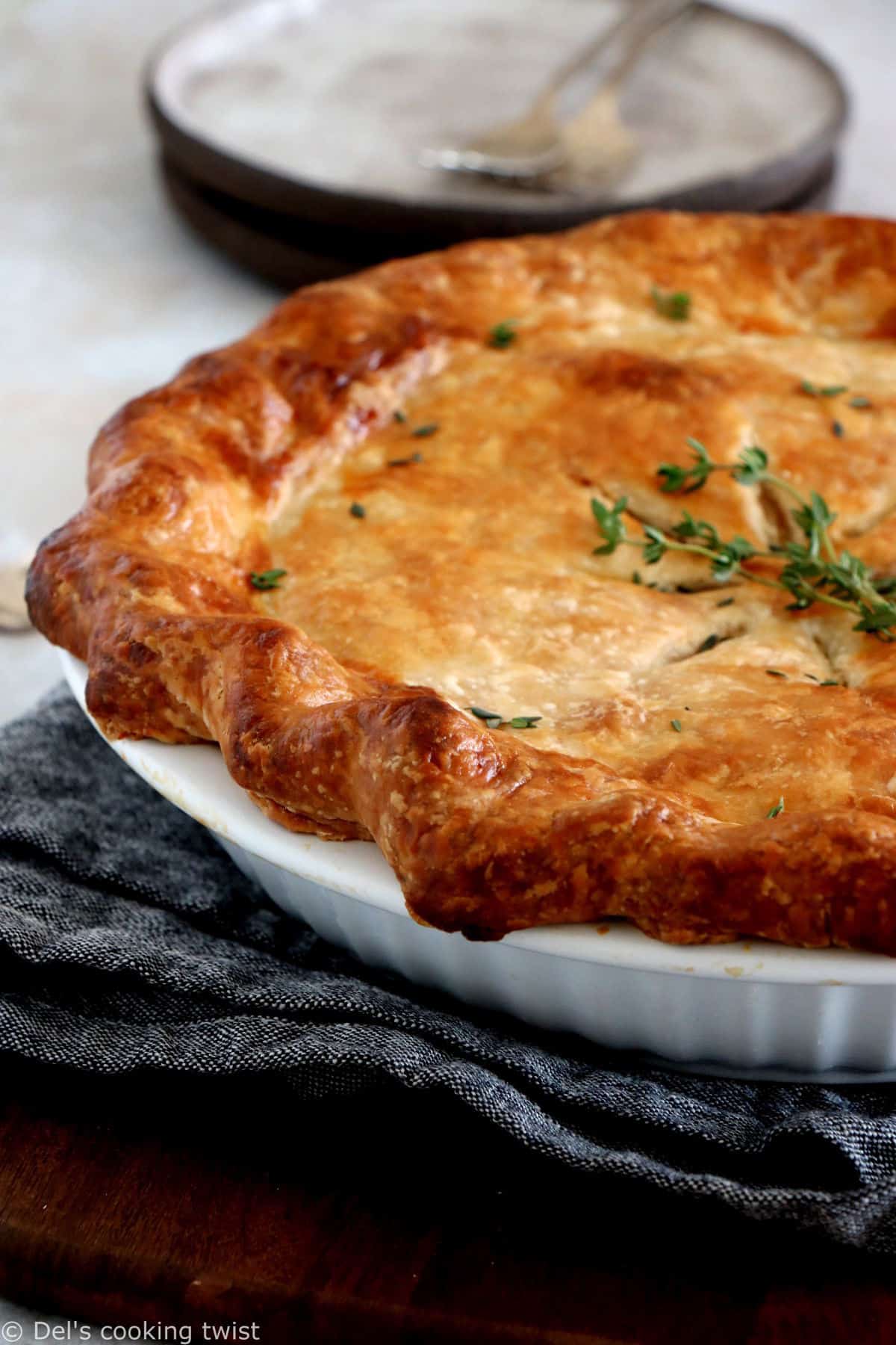 A rustic vegetarian pot pie loaded with hearty veggies coated in a creamy gravy, and tucked in between two crunchy flaky pie crusts.