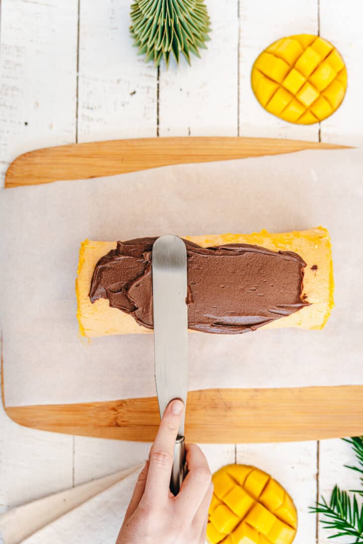 How to make a yule log with a mold (Recipe with Coconut, Mango and