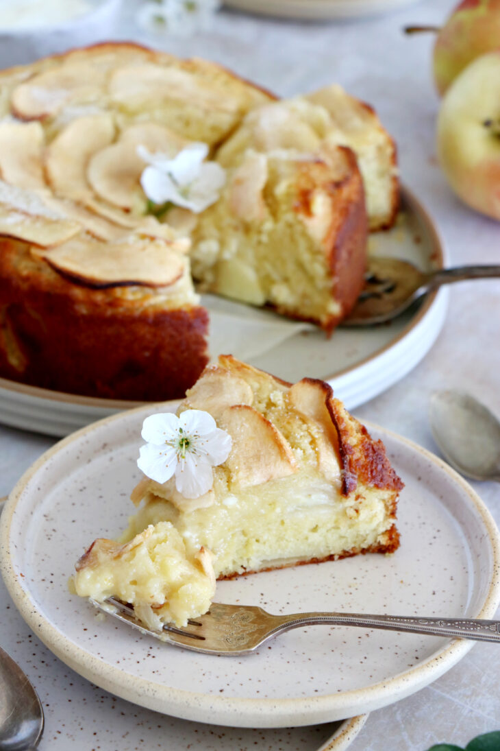 Ce gâteau aux pommes à la ricotta est doux, moelleux à souhait et garni de lamelles de pommes. Découvrez son ingrédient secret qui lui donne une saveur unique.