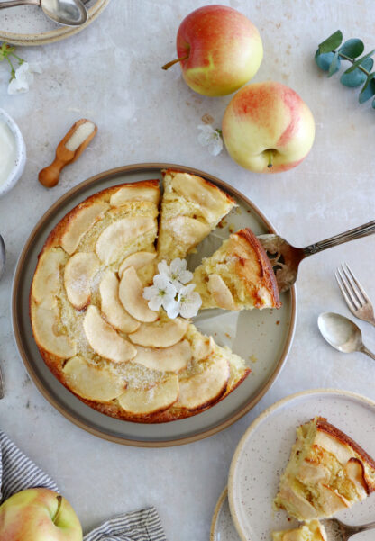 Ce gâteau aux pommes à la ricotta est doux, moelleux à souhait et garni de lamelles de pommes. Découvrez son ingrédient secret qui lui donne une saveur unique.