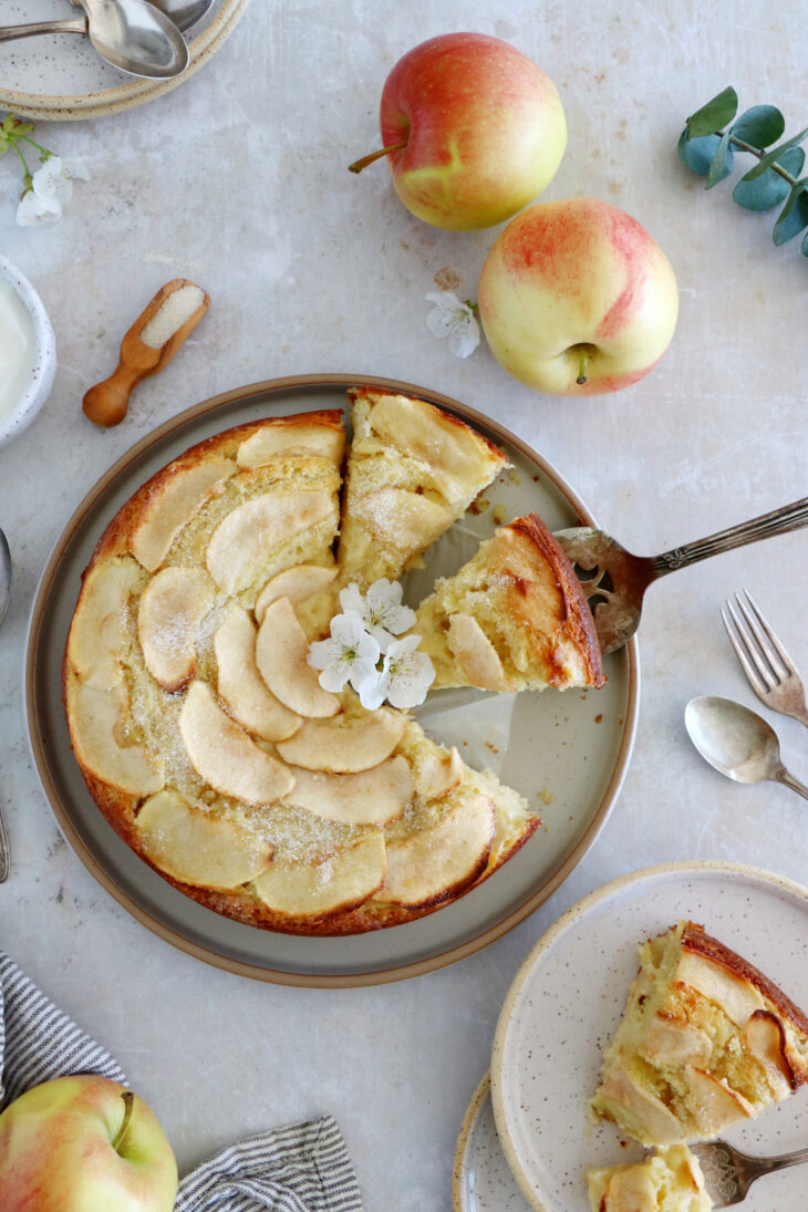 Ce gâteau aux pommes à la ricotta est doux, moelleux à souhait et garni de lamelles de pommes. Découvrez son ingrédient secret qui lui donne une saveur unique.