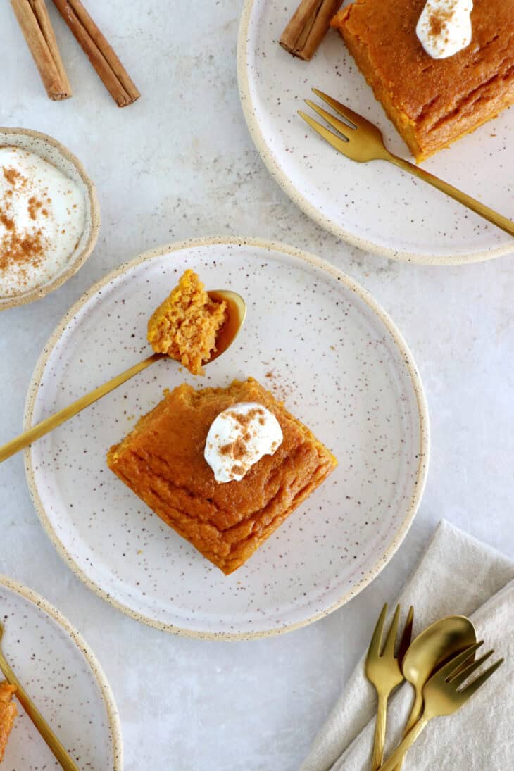 Ce gâteau moelleux à la courge healthy est moelleux à souhait, peu sucré, délicieusement parfumé et d'une simplicité enfantine.