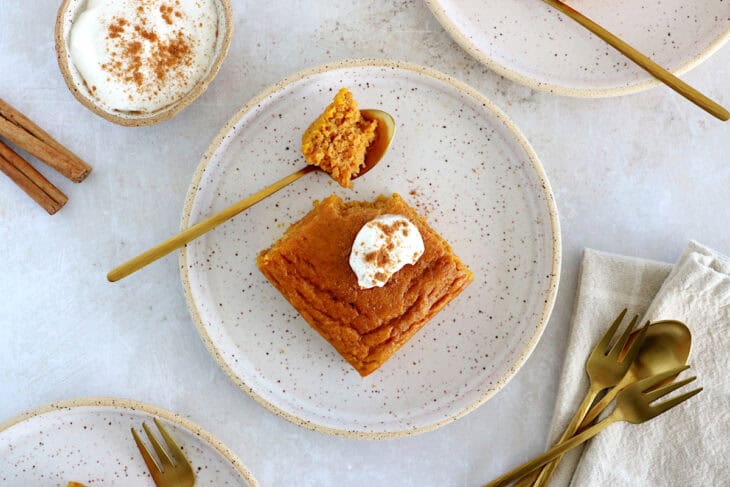 Ce gâteau moelleux à la courge healthy est moelleux à souhait, peu sucré, délicieusement parfumé et d'une simplicité enfantine.